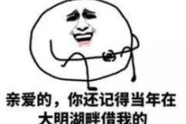 大宁大宁专业催债公司的催债流程和方法